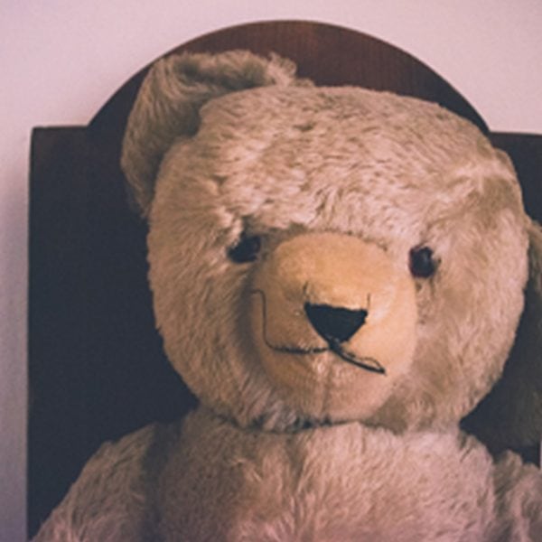 L'ours en peluche ou Teddy Bear