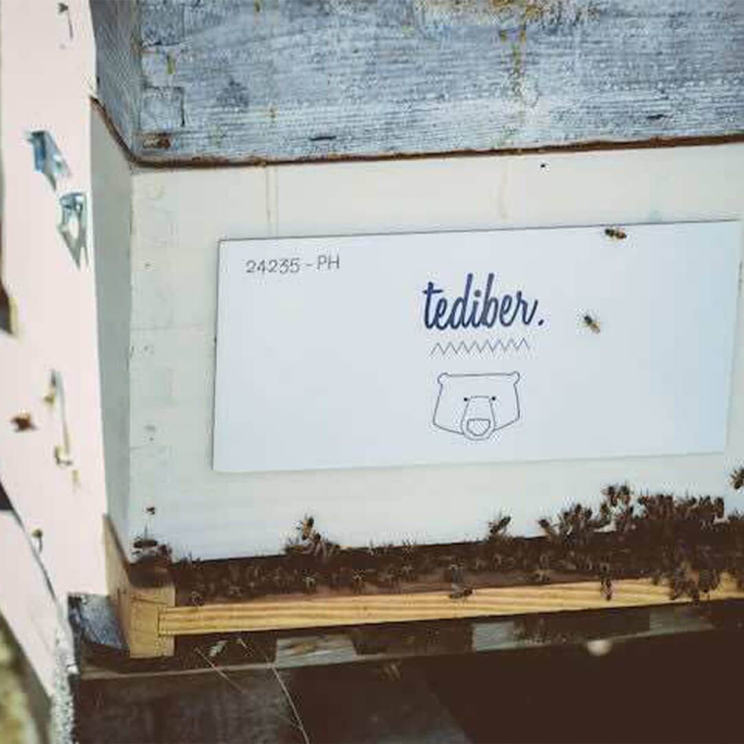 3 questions à Un toit pour les abeilles